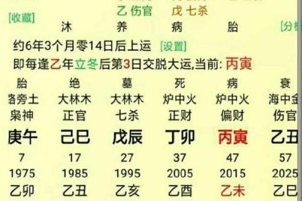 1977年出生的人：命喜颜色与生活的完美结合