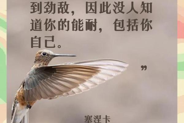 《半条命换来了一条命：一段生命与爱的深刻思考》