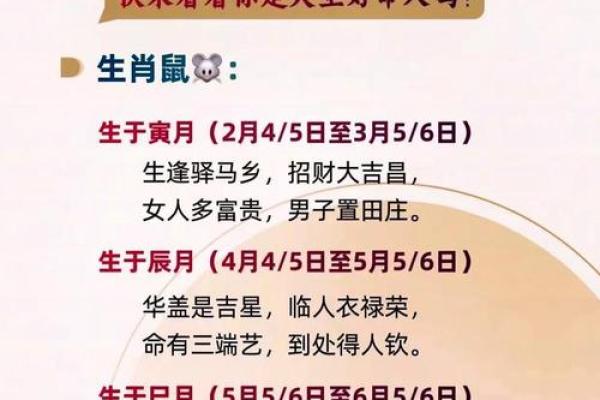 1999年是什么金命？揭秘金命儿的幸福人生与性格特点！