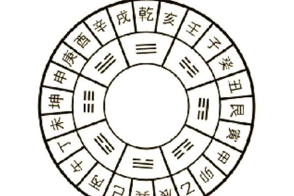 1994年出生的你，命运与运势的奥秘解析