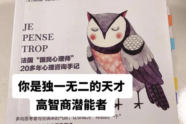 《命运之棋：探寻秀才的内心世界》