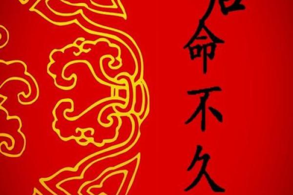 命不久矣：探寻生命的脆弱与韧性