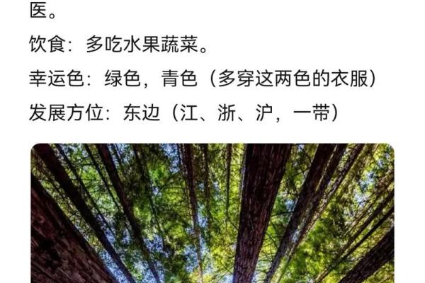 探索饿木命：了解木命人的性格与命运
