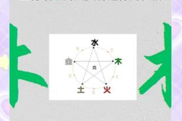 探索饿木命：了解木命人的性格与命运
