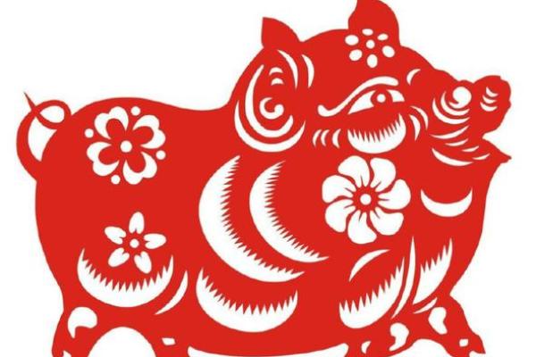 2022年属猪的人命运分析：财富、感情与事业的三重奏
