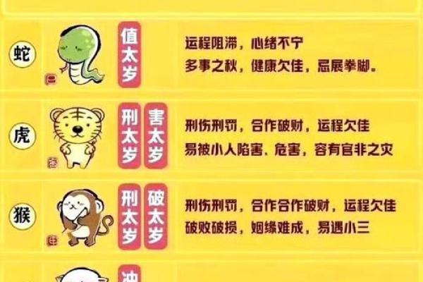 甲辰年生人命理分析：从八字看人生的方向与机会