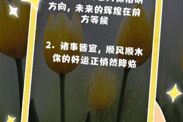 命运之轮：那些命中注定的悲惨故事与生活哲学