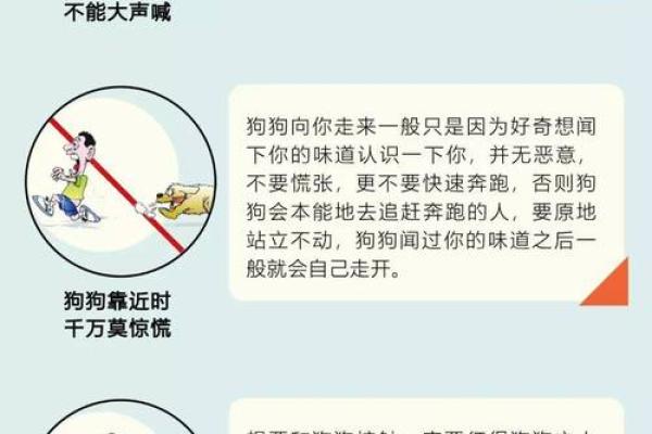 为什么有些人认为不能养黑狗？揭示命理与狗色的奥秘