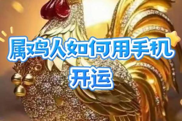 27岁属鸡之人：如何充分发挥自身优势，迎接人生新篇章！