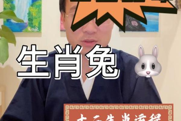 44年属什么生肖？揭开兔年命运的神秘面纱！