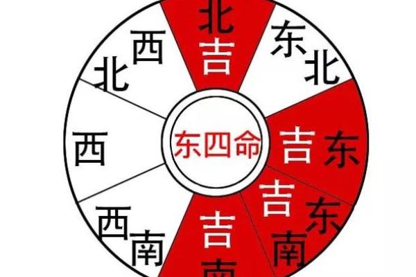 东4命与西4命适合的房子风水解析：生活环境与命理的完美结合
