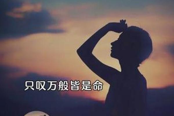 八条命抵一条命：生命篇章中的智慧与思考