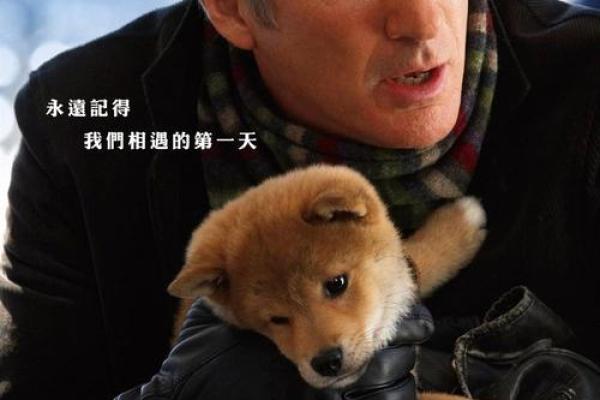 有狗命的人是什么命？探寻狗狗背后的深刻意义与影响