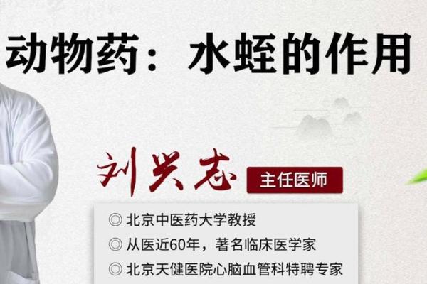 蚂蝗的生存之道：为何在恶劣环境中也能顽强生存？