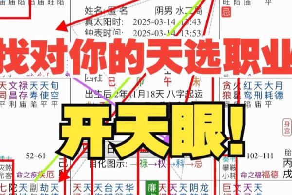 紫微斗数命理师：适合成为职业命理师的命格解析