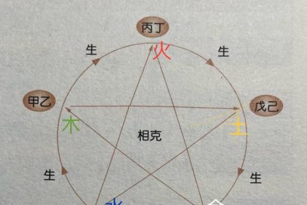 2005年出生的鸡：五行分析与命理解读