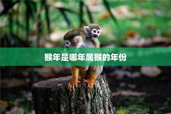 1932年猴年：生肖猴的命运与个性探秘！