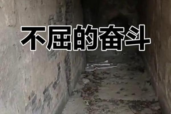 1997年12月，命运转折的时刻：运势与机遇之辩论