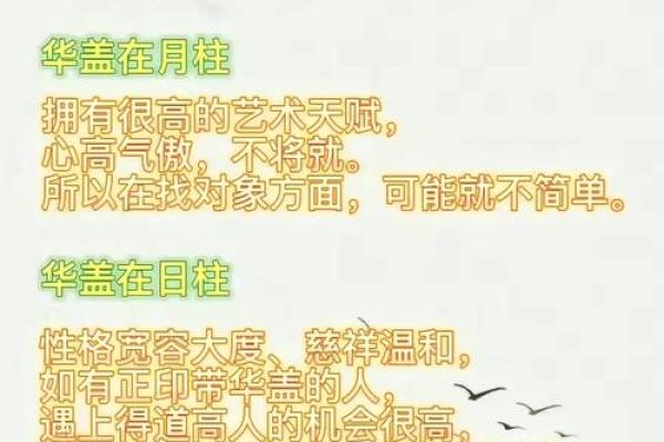 探秘华盖：生日命理中的神秘面纱与独特智慧