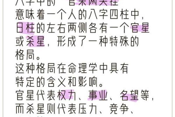 探秘命理学的奥秘：多元门派与其实践智慧