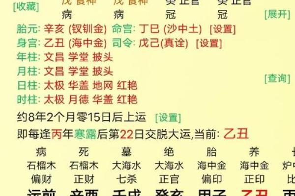 癸酉日出生者命运解析：揭开命理的神秘面纱！