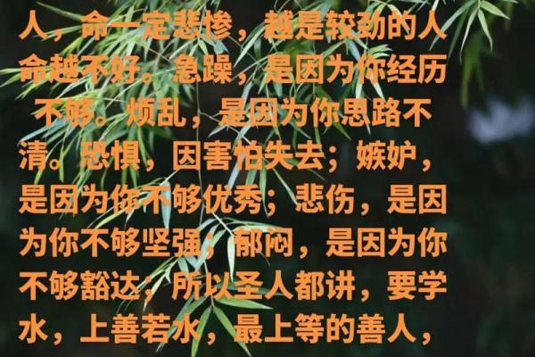 脾气倔强的人命运：洞悉个性与未来的深刻联系