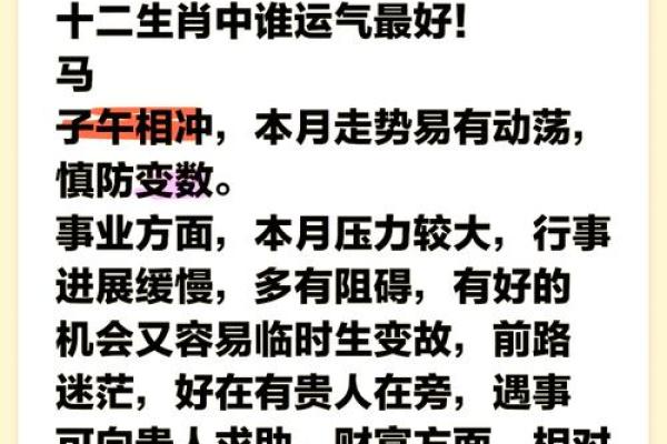 乙酉年出生的生肖运势揭秘：命格与人生的奇妙旅程