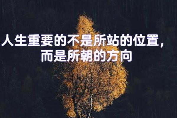 1998年属虎：勇猛与智谋共舞的人生旅程