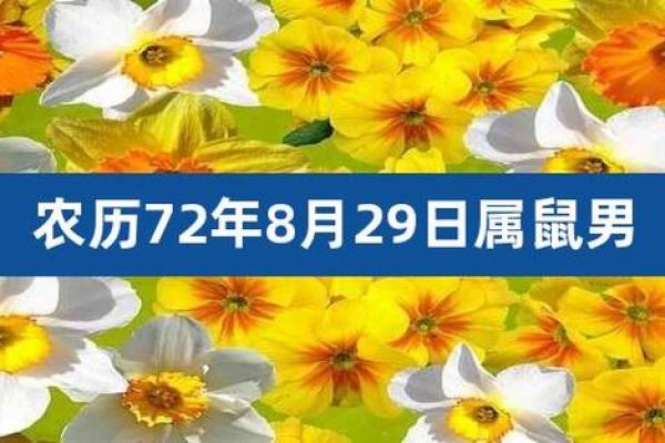 1972年的鼠：木命的特性与人生启示