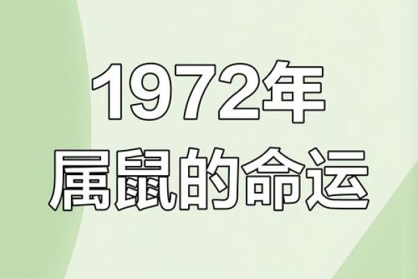 1972年的鼠：木命的特性与人生启示