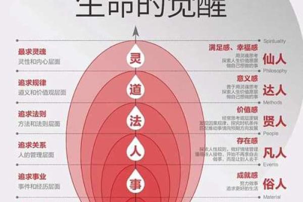 探索人生的意义：命运与选择的交织旅程