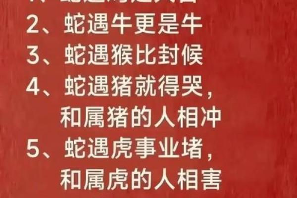 90后属相解析：你的命运密码藏在哪一生肖中？