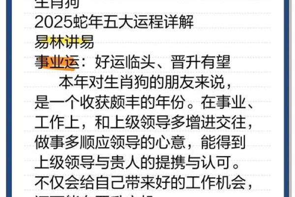 1993年属狗和属鸡的命运分析与人生启示