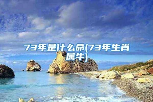 牛是什么命，缺什么生肖的人最为契合？揭示生肖之谜！