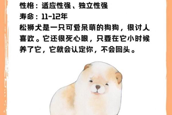 2018年属狗的命理解析：忠诚与勇气的象征