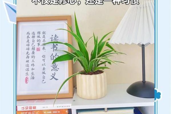 读书改变命理：书香与人生的奇妙交融