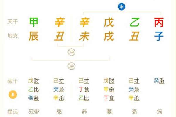 1981年属什么卦命：深入探索你的命运与人生之路