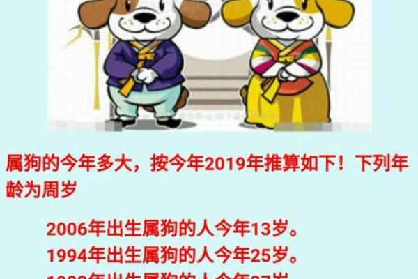 属狗人在29岁时的命运解析与人生建议