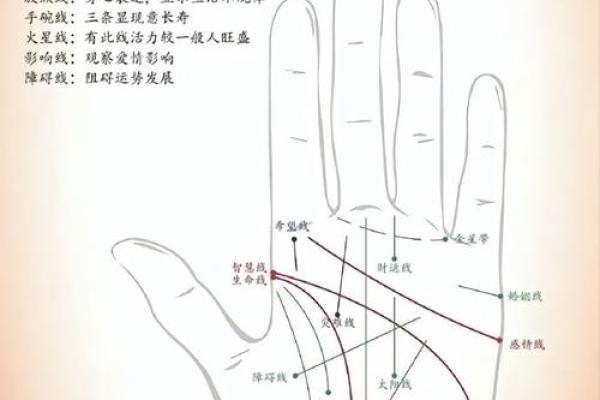 解密天才手相：男命里的智慧密码与人生轨迹