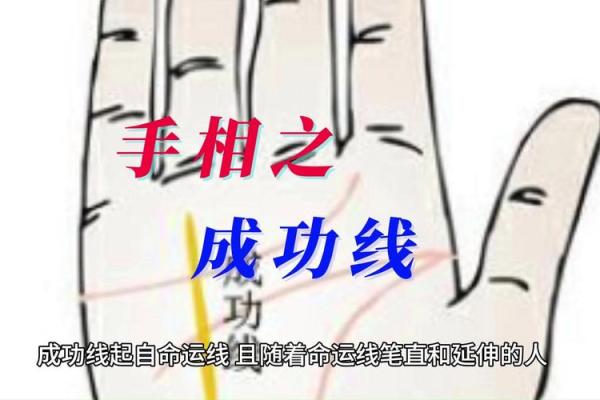 解密天才手相：男命里的智慧密码与人生轨迹