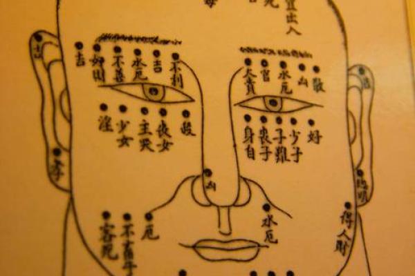 女人鼻头大是什么命：探寻面相与命运的奥秘
