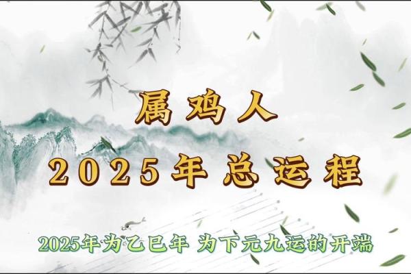 2005年鸡年女性命运解析：好运与挑战并存的生活旅程
