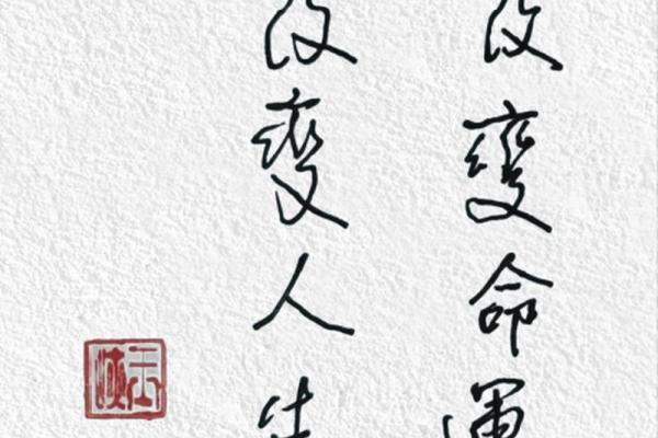 探索一九七五年出生者的命运与人生轨迹