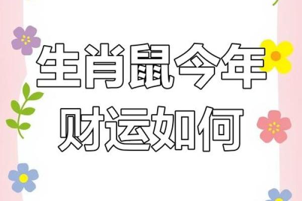 命运多舛，生肖鼠如何面对此生的挑战与机遇？