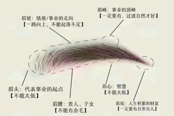 嘴唇上翘的人是什么命？揭开面相学的奥秘！