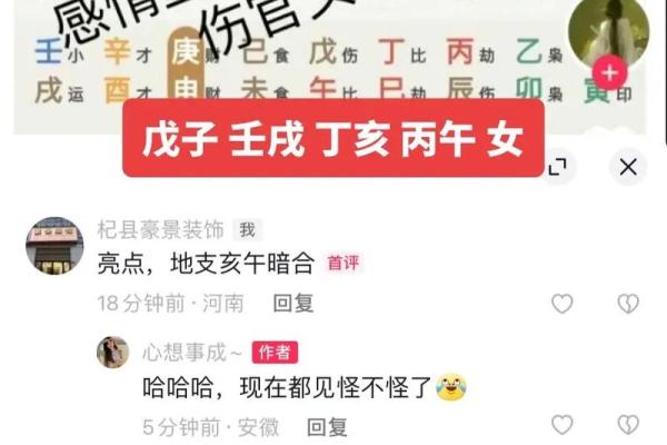 伤官见官：爱情中的命理密码与合婚之道