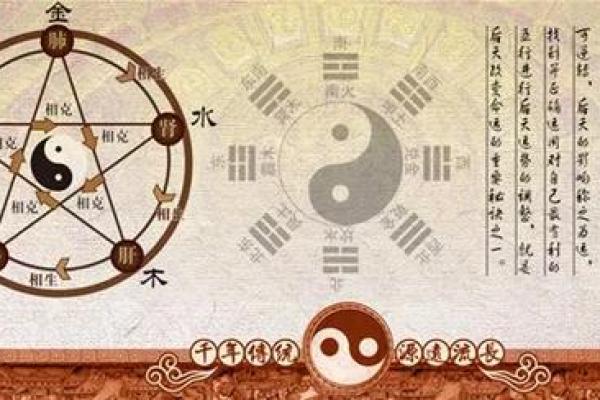 2008年是什么命？揭秘这一年的命理与运势