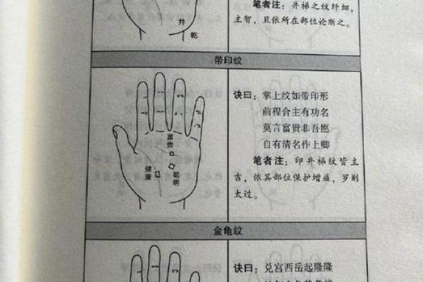 探秘手掌面相：解析男命的命运玄机与人生走向
