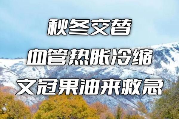 2006年十一月：秋冬交替的时光与命运的探索