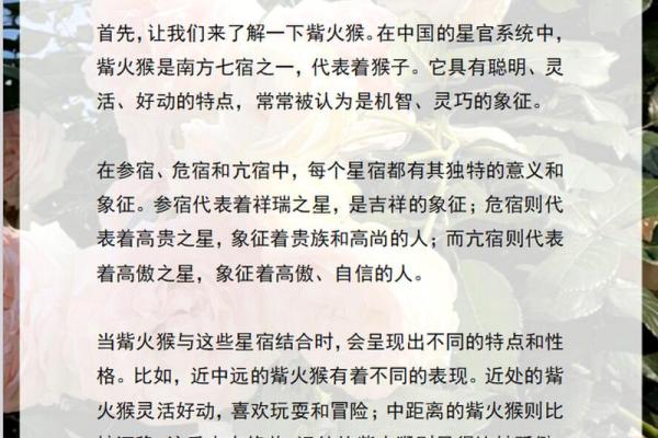 火命猴宝宝如何起名？注意事项与技巧解析！